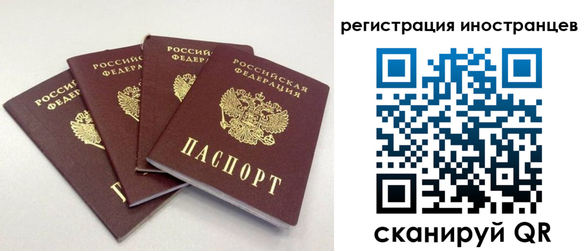 временная регистрация для школы в ЕАО